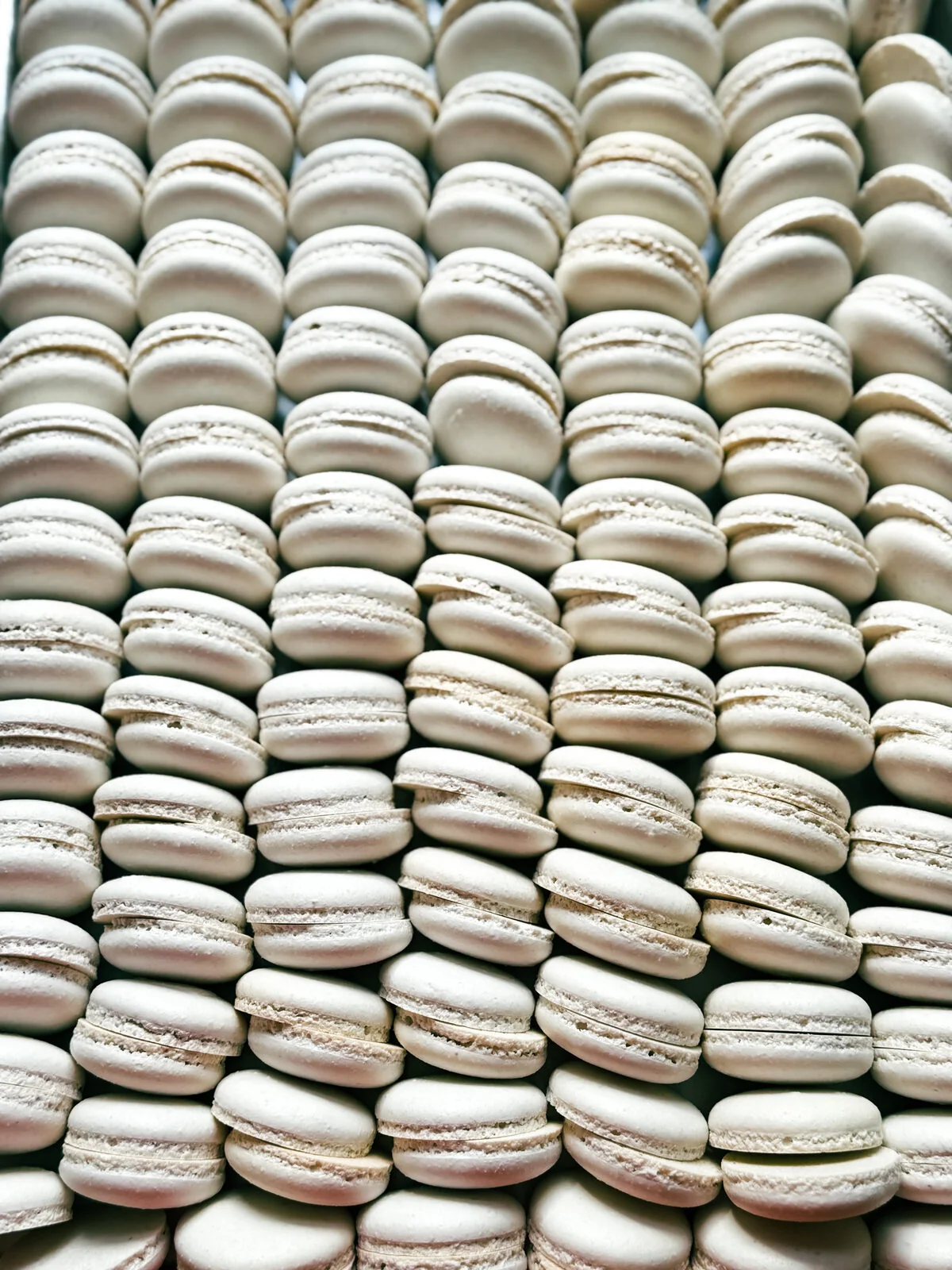 Logo Macarons