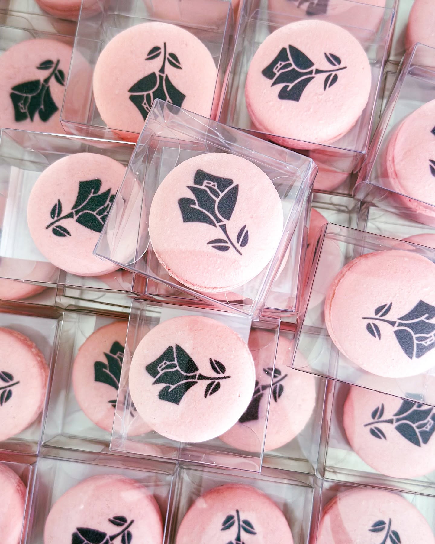 Macaron Favor Box
